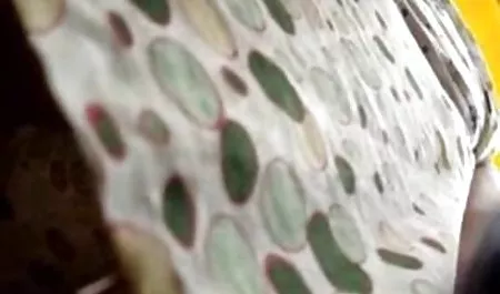 من از طریق گاییدن, دهان سکس زنان شهوانی برای از بین بردن خودتان