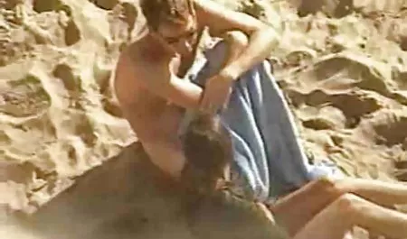 یک شهوانی انال گربه