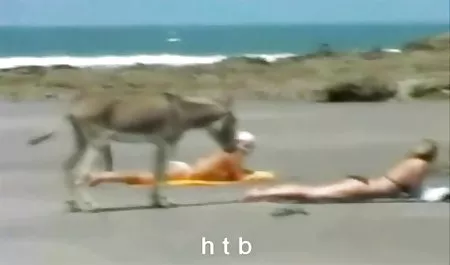 مادر و شوهرش به عکس فیلم شهوانی پرداخت پوکر بازی